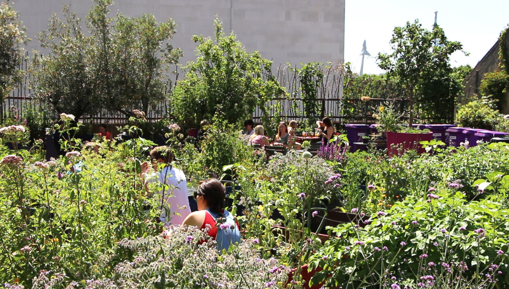 London Roof Garden