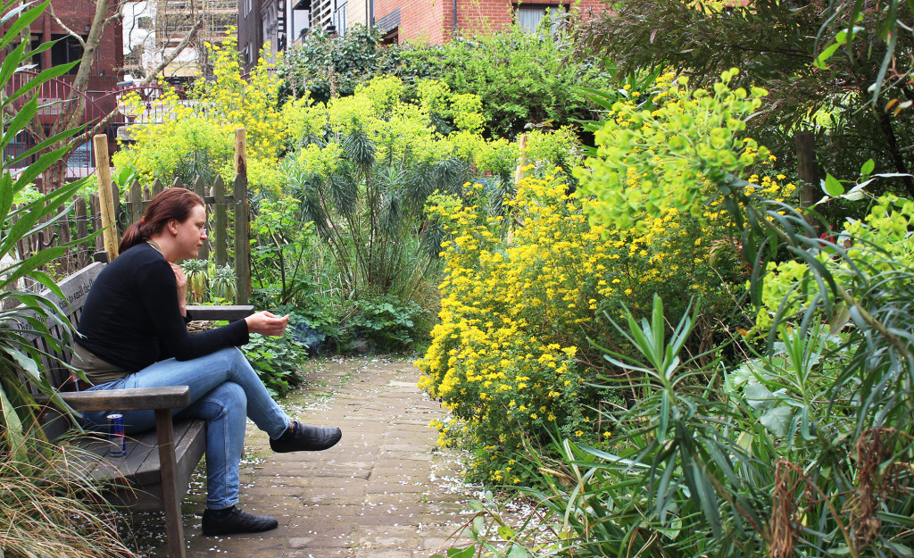 The Phoenix Garden (in Stacey Sreet) is a community garden and open space in Central London.