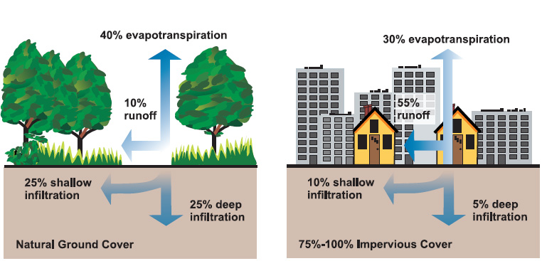SUDS Sustainable Urban Drainage Systems
