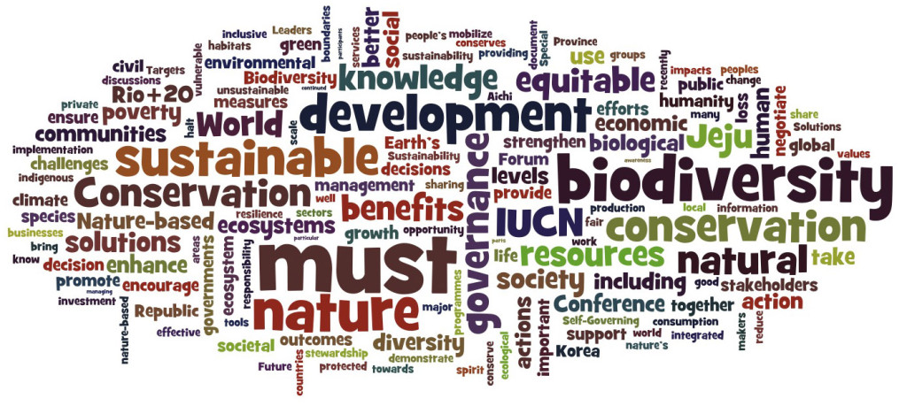 2012 Jeju Declaration by the IUCN President (wordled)