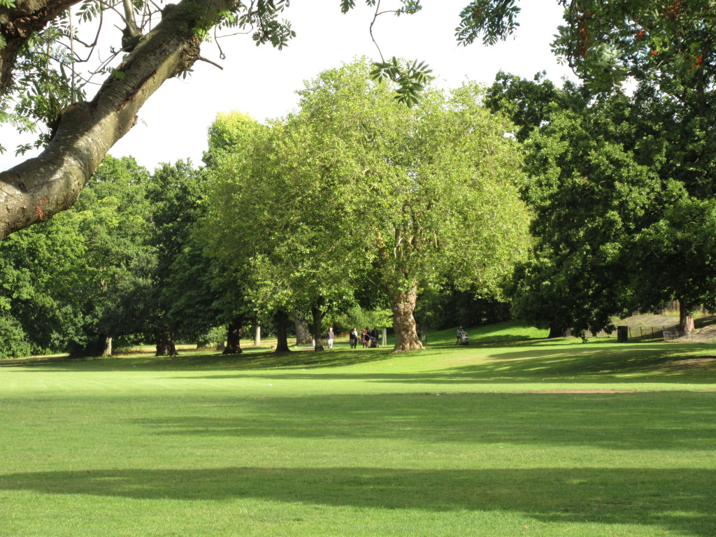 Mayow Park, the cricket ground. with old Kent hedgerow trees beyond