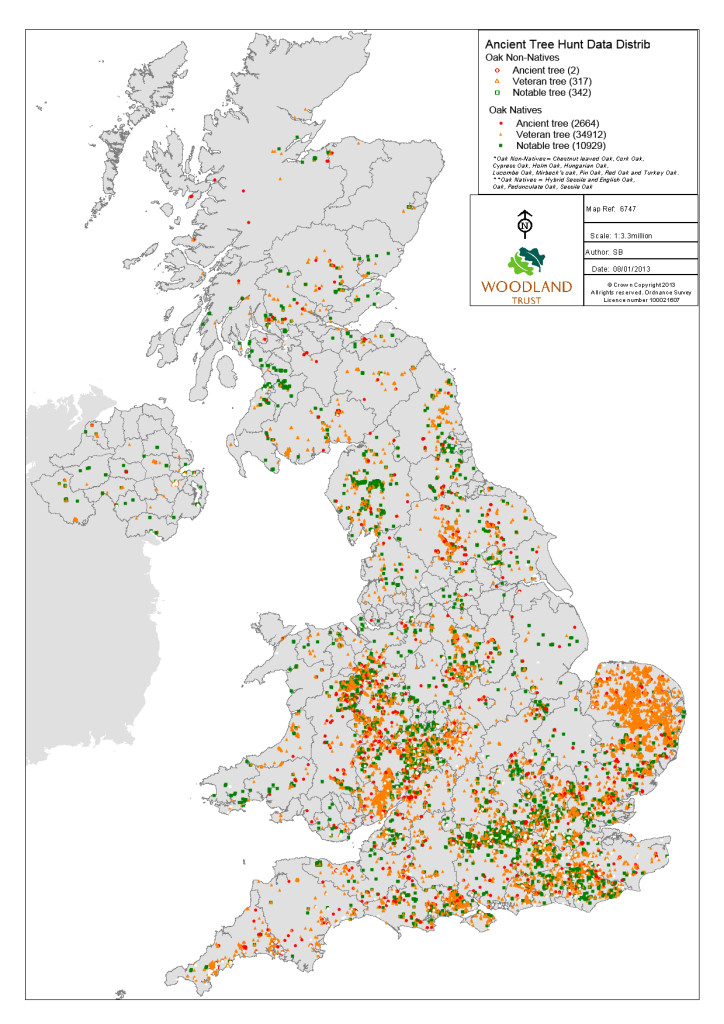 ancient oak trees in UK source http-::www.ancient-tree-hunt.org.uk:news:oak-data (accessed 21.2.2016)