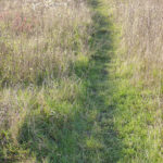 trod_path_field